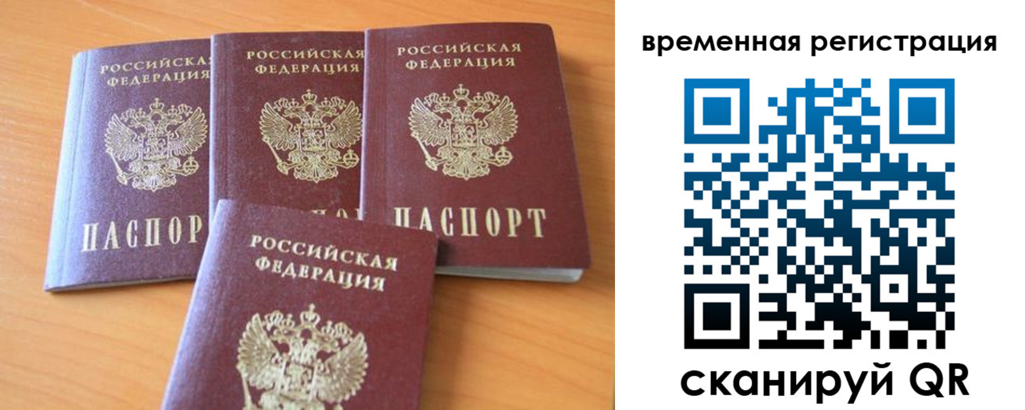 прописка для школы в Свободном
